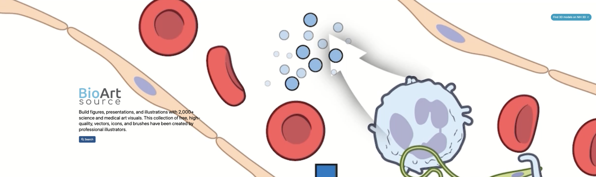 FREE Bioart 2D and 3D collections – DNA.today