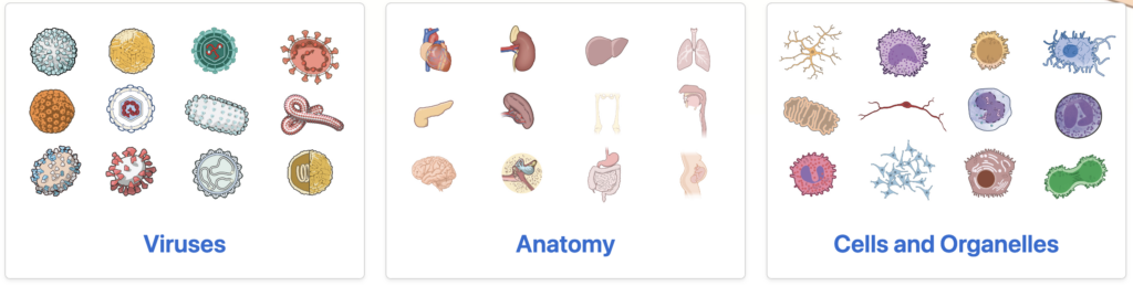 FREE Bioart 2D and 3D collections – DNA.today