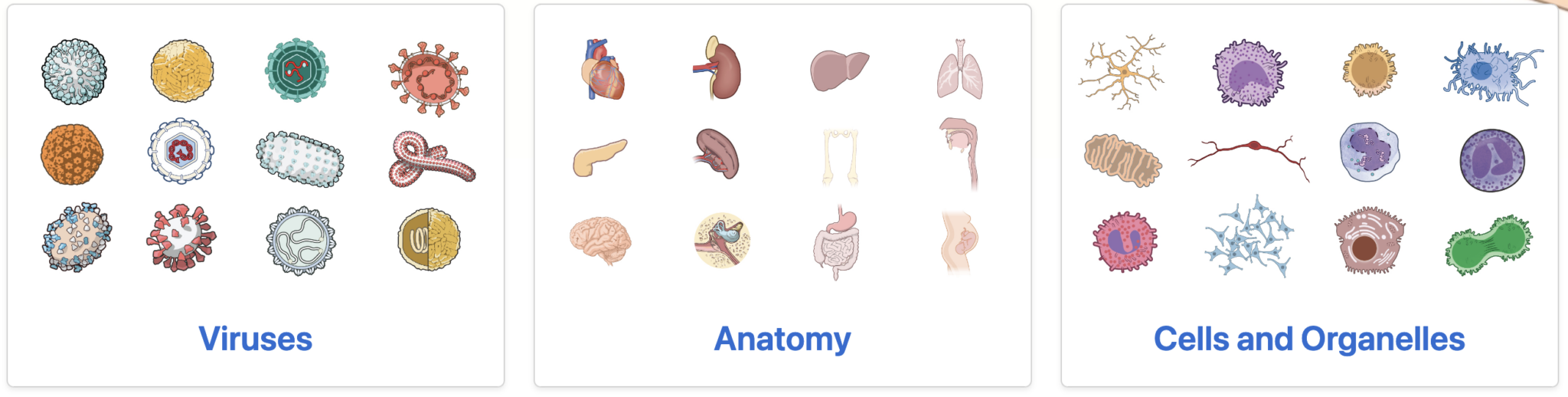 FREE Bioart 2D and 3D collections – DNA.today
